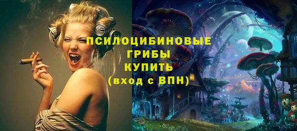 ECSTASY Балахна