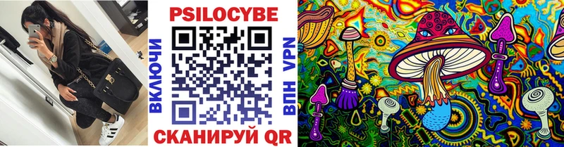 omg как войти  Зверево  Галлюциногенные грибы прущие грибы 